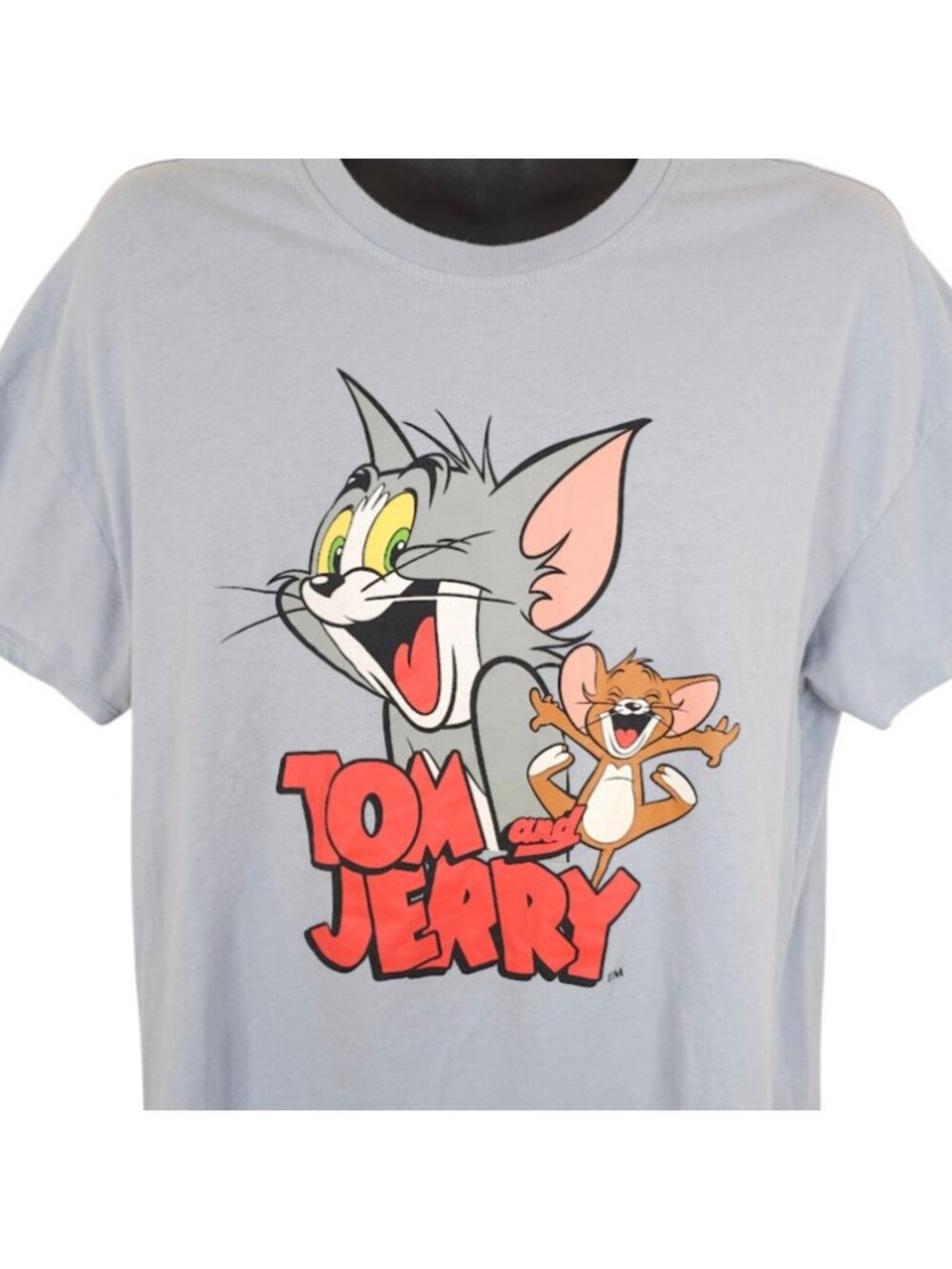 Tom & Jerry T Shirt Womens Size 2XL Gray Cartoon Hanna Barbera